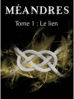 Méandres : Le lien (T1) de Céline E. Nicolas